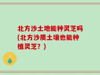北方沙土地能种灵芝吗(北方沙质土壤也能种植灵芝？)