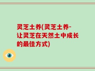 灵芝土养(灵芝土养-让灵芝在天然土中成长的最佳方式)