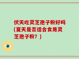 伏天吃灵芝孢子粉好吗(夏天是否适合食用灵芝孢子粉？)
