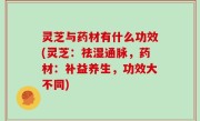 灵芝与药材有什么功效(灵芝：祛湿通脉，药材：补益养生，功效大不同)
