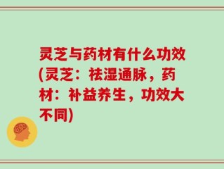 灵芝与药材有什么功效(灵芝：祛湿通脉，药材：补益养生，功效大不同)