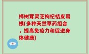 桦树茸灵芝枸杞桔皮葛根(多种天然草药组合，提高免疫力和促进身体健康)