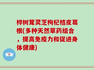 桦树茸灵芝枸杞桔皮葛根(多种天然草药组合，提高免疫力和促进身体健康)