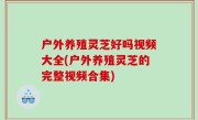 户外养殖灵芝好吗视频大全(户外养殖灵芝的完整视频合集)