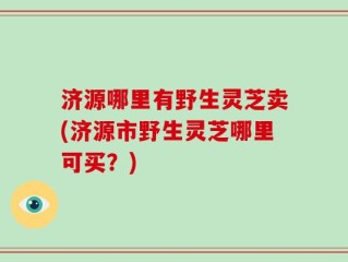 济源哪里有野生灵芝卖(济源市野生灵芝哪里可买？)