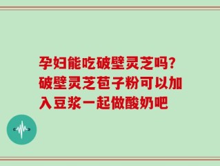 孕妇能吃破壁灵芝吗？破壁灵芝苞子粉可以加入豆浆一起做酸奶吧