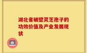湖北省破壁灵芝孢子的功效价值及产业发展现状