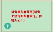 抖音里东北灵芝(抖音上热传的东北灵芝，惊艳人心！)