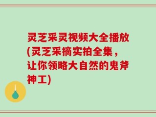 灵芝采灵视频大全播放(灵芝采摘实拍全集，让你领略大自然的鬼斧神工)