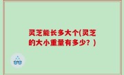 灵芝能长多大个(灵芝的大小重量有多少？)