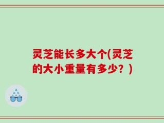 灵芝能长多大个(灵芝的大小重量有多少？)