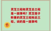 灵芝三萜和灵芝总三萜是一回事吗？灵芝孢子粉里的灵芝三萜和总三萜，说的是一回事吗