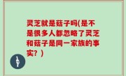 灵芝就是菇子吗(是不是很多人都忽略了灵芝和菇子是同一家族的事实？)