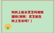 构树上能长灵芝吗视频播放(视频：灵芝能在树上生长吗？)