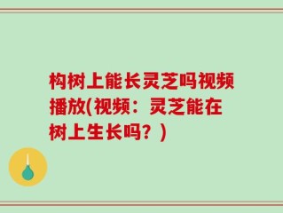 构树上能长灵芝吗视频播放(视频：灵芝能在树上生长吗？)