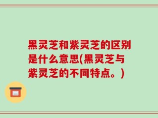 黑灵芝和紫灵芝的区别是什么意思(黑灵芝与紫灵芝的不同特点。)