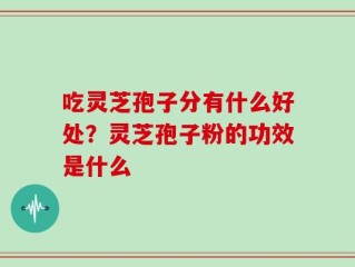 吃灵芝孢子分有什么好处？灵芝孢子粉的功效是什么