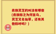 彝族灵芝的叫法有哪些(彝族称之为何首乌，灵芝又名仙草，还有其他称呼吗？)