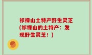 祁禄山土特产野生灵芝(祁禄山的土特产：发现野生灵芝！)
