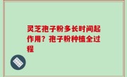 灵芝孢子粉多长时间起作用？孢子粉种植全过程