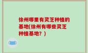 徐州哪里有灵芝种植的基地(徐州有哪些灵芝种植基地？)