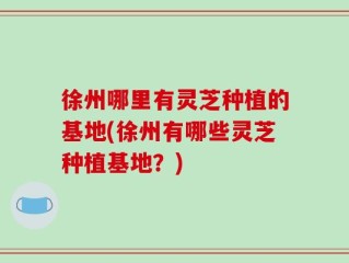 徐州哪里有灵芝种植的基地(徐州有哪些灵芝种植基地？)