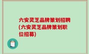 六安灵芝品牌策划招聘(六安灵芝品牌策划职位招募)