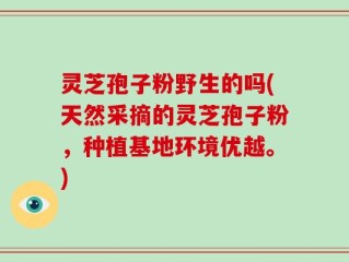 灵芝孢子粉野生的吗(天然采摘的灵芝孢子粉，种植基地环境优越。)
