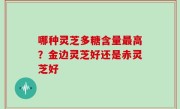 哪种灵芝多糖含量最高？金边灵芝好还是赤灵芝好