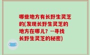 哪些地方有长野生灵芝的(发现长野生灵芝的地方在哪儿？--寻找长野生灵芝的秘密)
