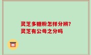 灵芝多糖粉怎样分辨？灵芝有公母之分吗