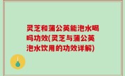灵芝和蒲公英能泡水喝吗功效(灵芝与蒲公英泡水饮用的功效详解)