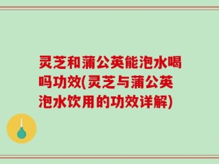灵芝和蒲公英能泡水喝吗功效(灵芝与蒲公英泡水饮用的功效详解)