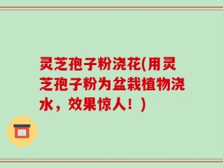 灵芝孢子粉浇花(用灵芝孢子粉为盆栽植物浇水，效果惊人！)