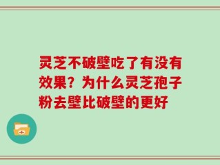 灵芝不破壁吃了有没有效果？为什么灵芝孢子粉去壁比破壁的更好
