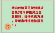 地沟种植灵芝视频播放全集(地沟种植灵芝全集视频，懂得挑选方法，零距离种植绝佳指引！)