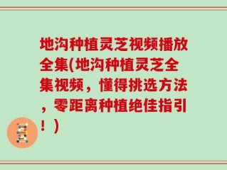 地沟种植灵芝视频播放全集(地沟种植灵芝全集视频，懂得挑选方法，零距离种植绝佳指引！)