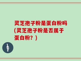 灵芝孢子粉是蛋白粉吗(灵芝孢子粉是否属于蛋白粉？)