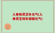 人参和灵芝补元气(人参灵芝双补提振元气)