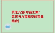 灵芝八宝(珍品汇聚：灵芝与八宝精华的完美结合)
