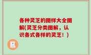 各种灵芝的图样大全图解(灵芝分类图解，认识各式各样的灵芝！)
