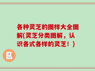 各种灵芝的图样大全图解(灵芝分类图解，认识各式各样的灵芝！)