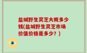 盐城野生灵芝大概多少钱(盐城野生灵芝市场价值价格是多少？)