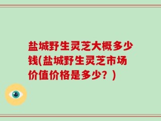 盐城野生灵芝大概多少钱(盐城野生灵芝市场价值价格是多少？)