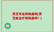 灵芝可治肾阳虚吗(灵芝能治疗肾阳虚吗？)