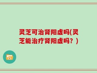 灵芝可治肾阳虚吗(灵芝能治疗肾阳虚吗？)