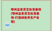 鄂州盆景灵芝批发基地(鄂州盆景灵芝批发基地-打造绿色养生产业链)