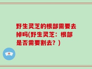 野生灵芝的根部需要去掉吗(野生灵芝：根部是否需要割去？)