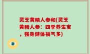 灵芝黄精人参和(灵芝黄精人参：四季养生宝，强身健体福气多)