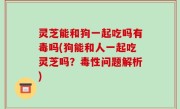 灵芝能和狗一起吃吗有毒吗(狗能和人一起吃灵芝吗？毒性问题解析)